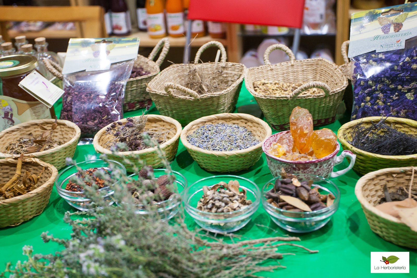 Una tarde de sábado en Benidorm "Taller de plantas medicinales de