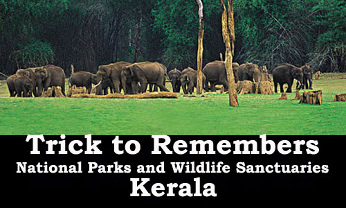 Featured image of post Wildlife Sanctuaries In Kerala Psc - Explore wide variety of spices in kerala.