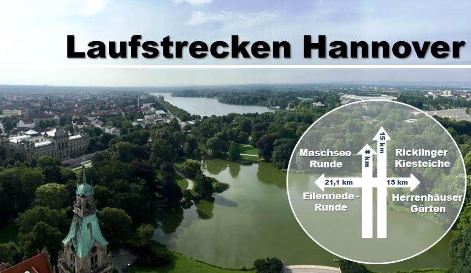 Der Winter War Da Und Das Steinhuder Meer Zugefroren