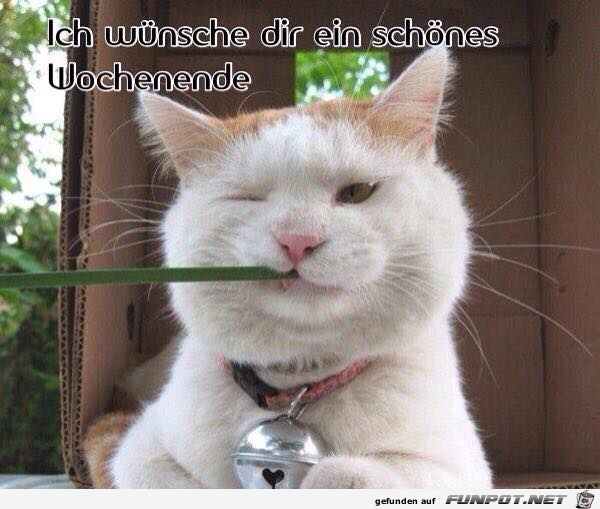 bild schГ¶nes wochenende bild schГ¶nes wochenende