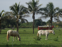 Ranchos en Broward Ranchos en Broward