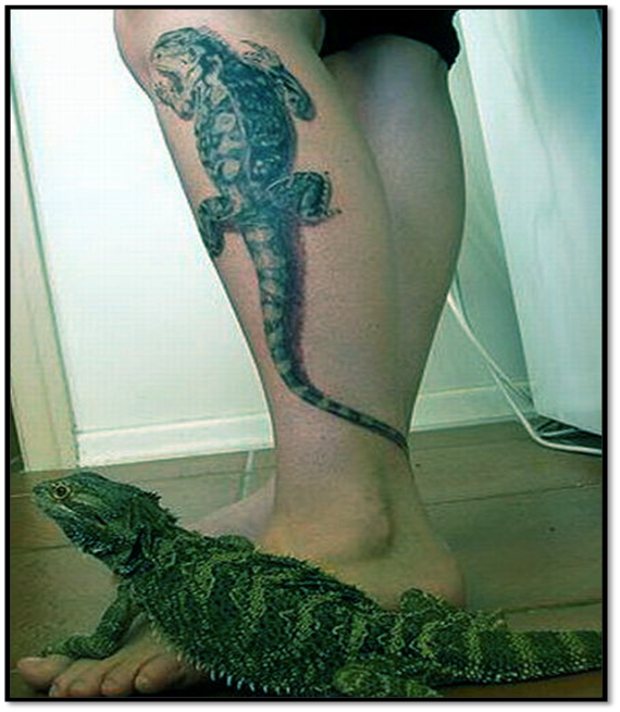 Trend Tattoos: Lizard Tattoo Meaning