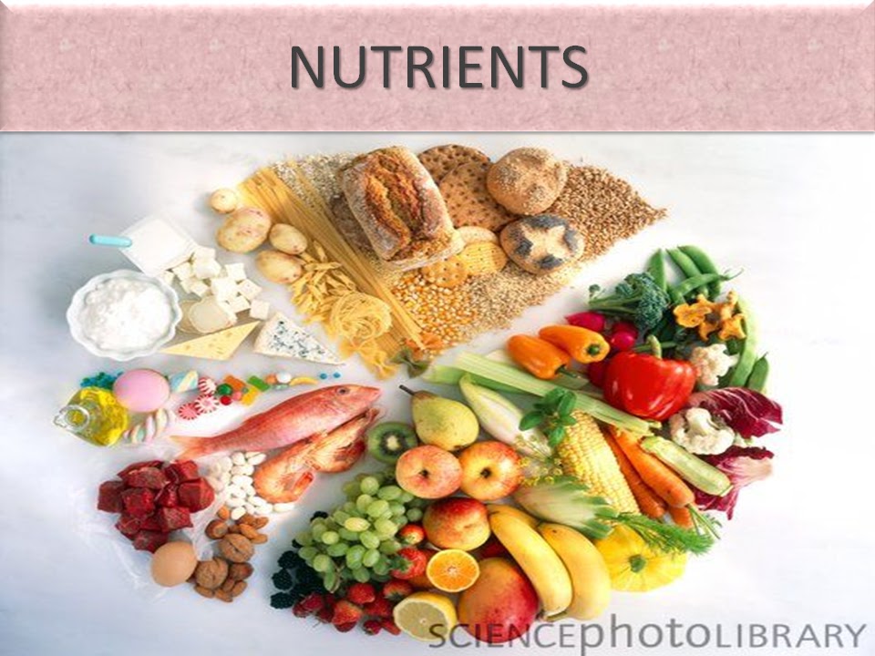 SONU ACADEMY COMPONENTS OF FOODTEXT