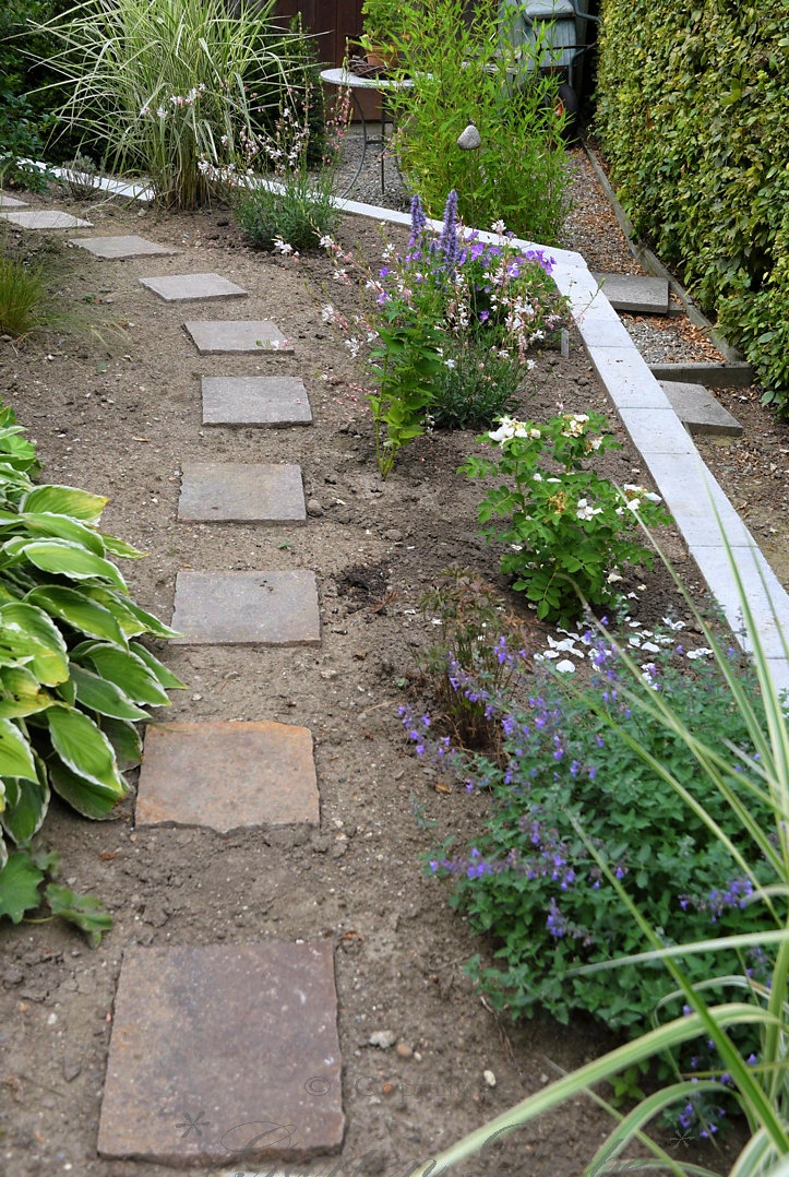 Garten Liebe Mein Kleines Wolkenbeet