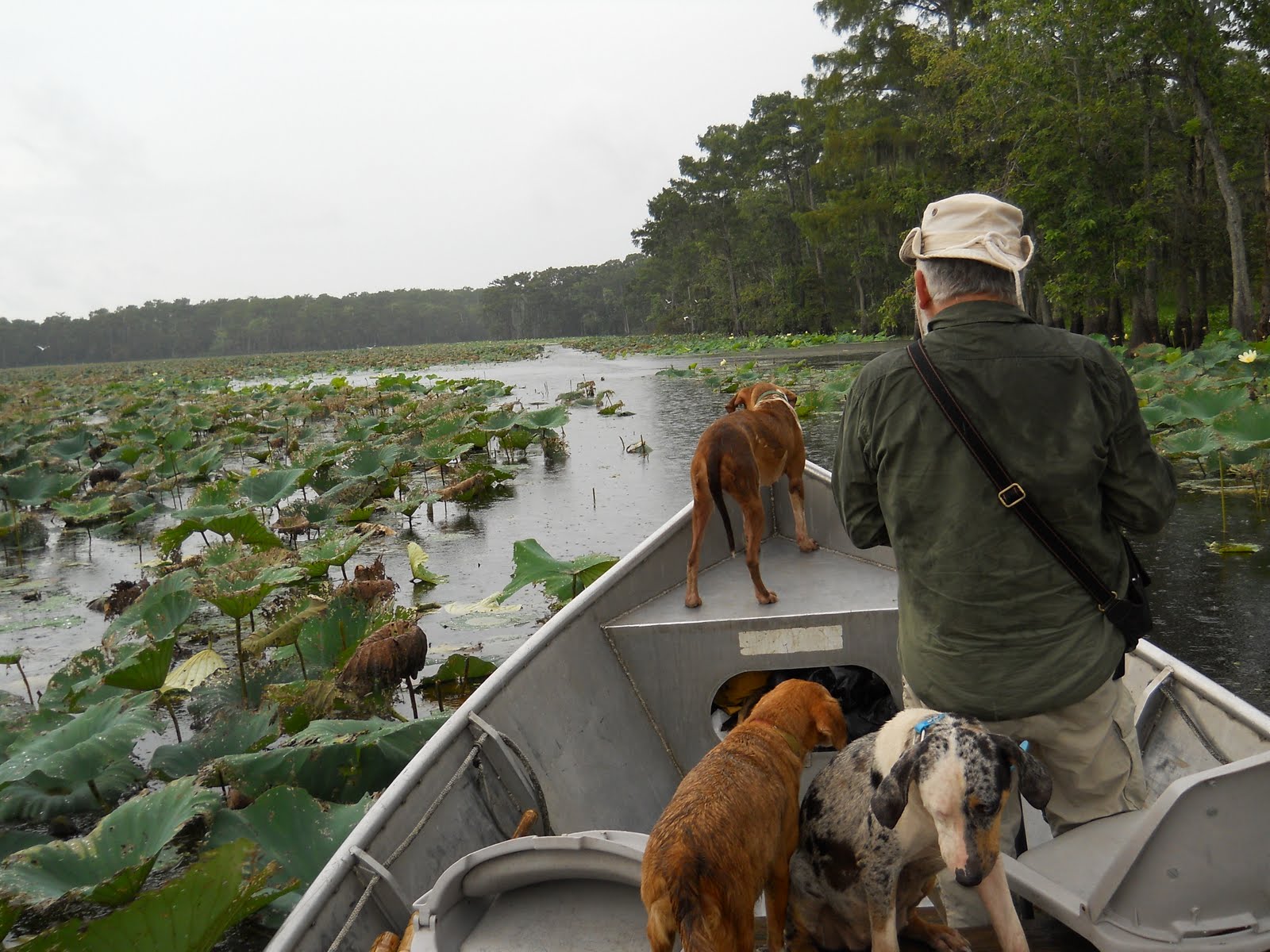 Louisiana Swamp People