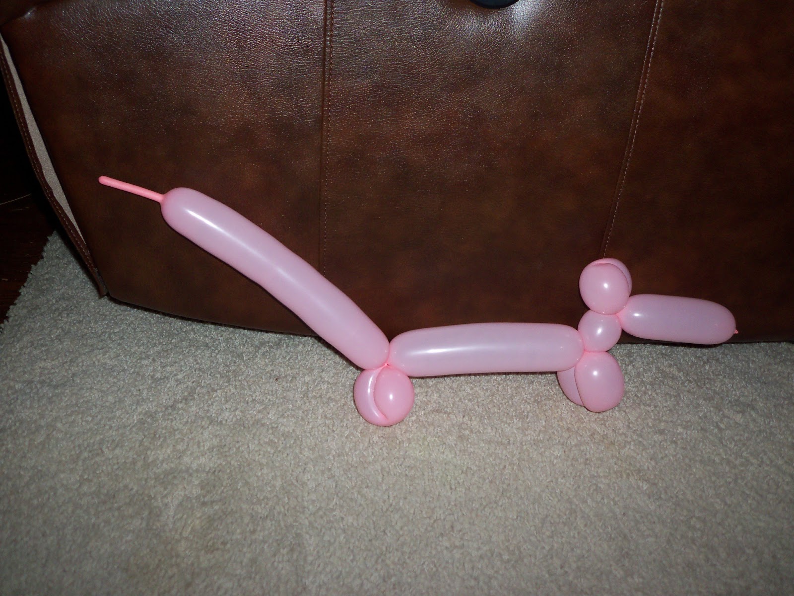 Homeschool Smarts How to Make a Balloon Dog