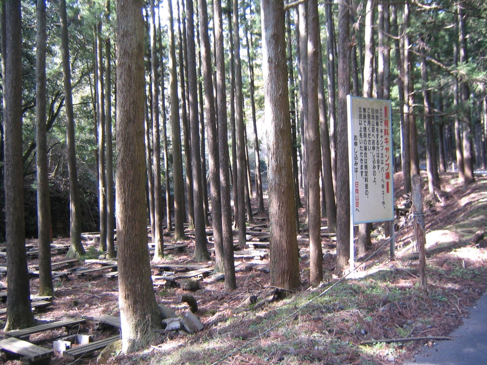 Adventure In Yokohama Citizen Forest Civil Engineering With Jimi Hendrix Hinata Yakushi 日向薬師 And Sekiunji Temples 石雲寺 At The Foot Of Mt Oyama 大山