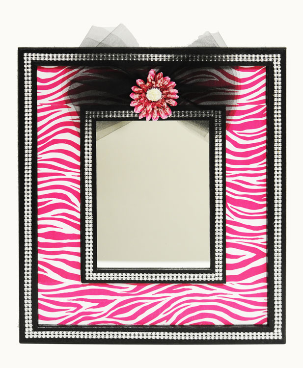 Ben Franklin Crafts and Frame Shop Pink Zebra Mirror