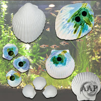 Wonder Shell for aquarium