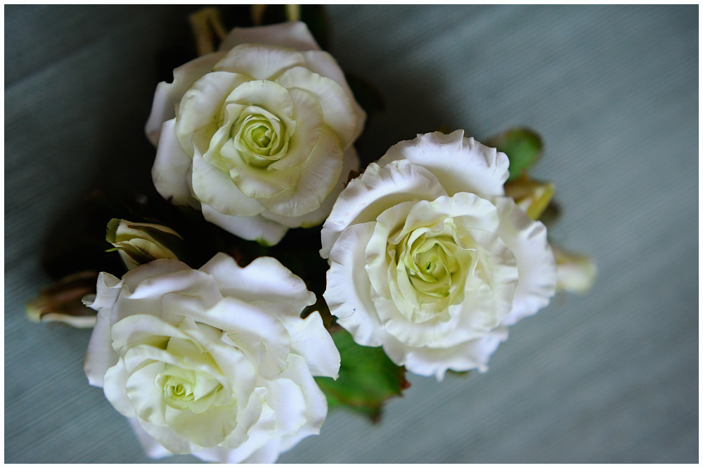 Мир моих увлечений: Белые розы