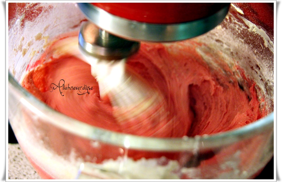 Albeni kurabiye Allah Ne Verdiyse