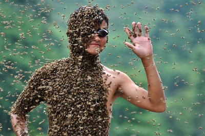 Bee-Bearding Contest in China