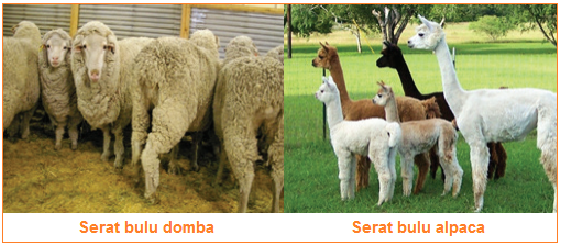 Jenis Bahan Serat dan Karakteristik Serta Contoh Bahan Jenis Bahan Serat dan Karakteristik Serta Contoh Bahan