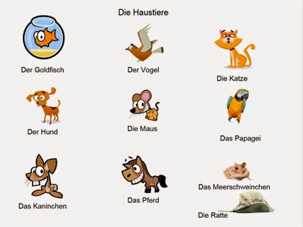 Pets Auf Deutsch
