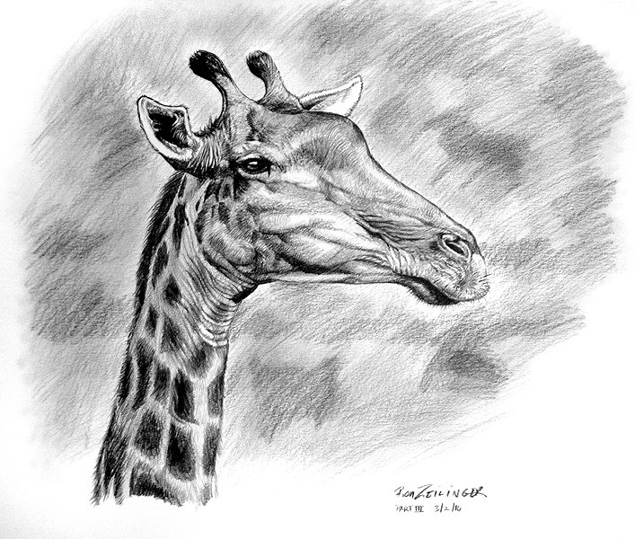 Storyboard Art and more Traditional Drawings with Pencil, Pen and Ink