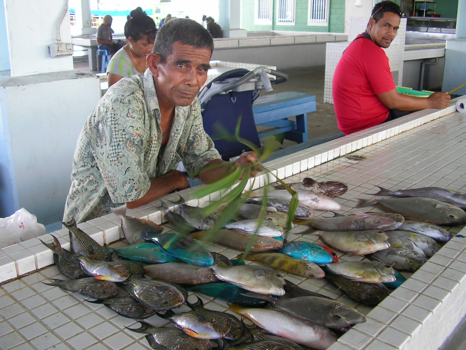 Buy Big Fish Casino Chips Cheap