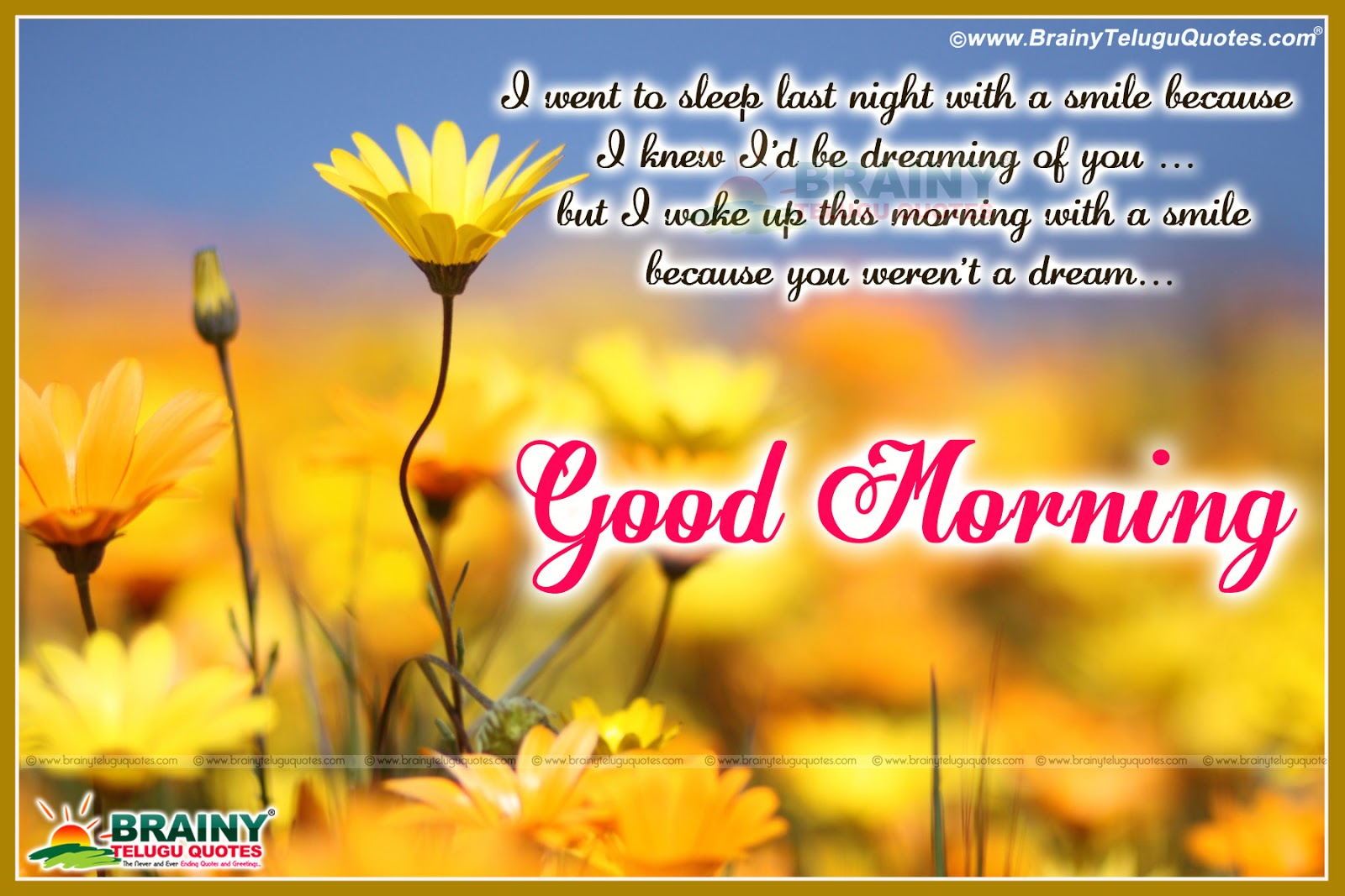 Good Morning English Wishes with Messages Wallpapers ...