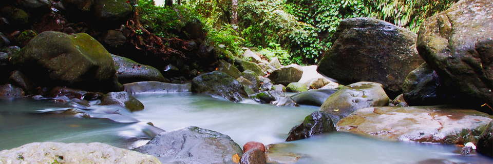 Voluptates repudiandae sint