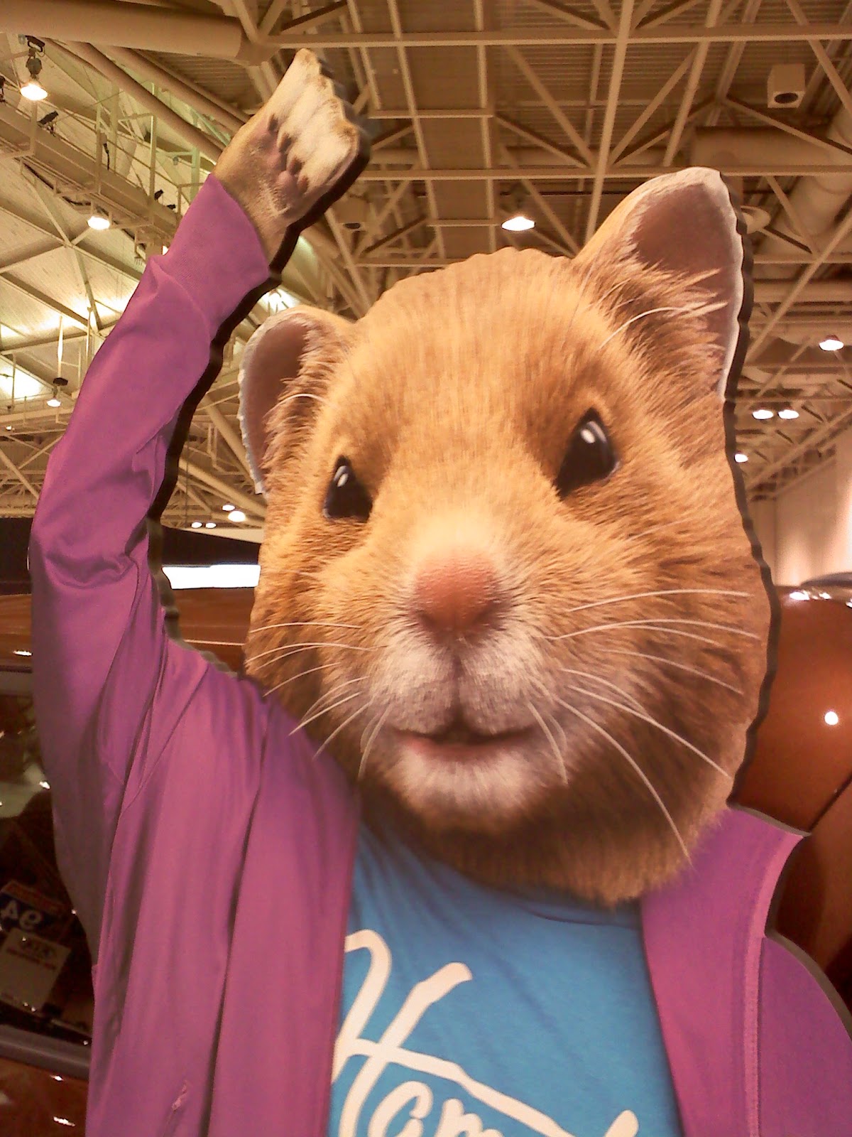 Ajumma�s Pad Kia Soul�s hamsters roll out