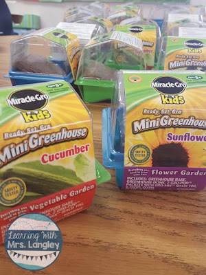 Seeds and Planting in Kindergarten | Learning with Mrs. Langley