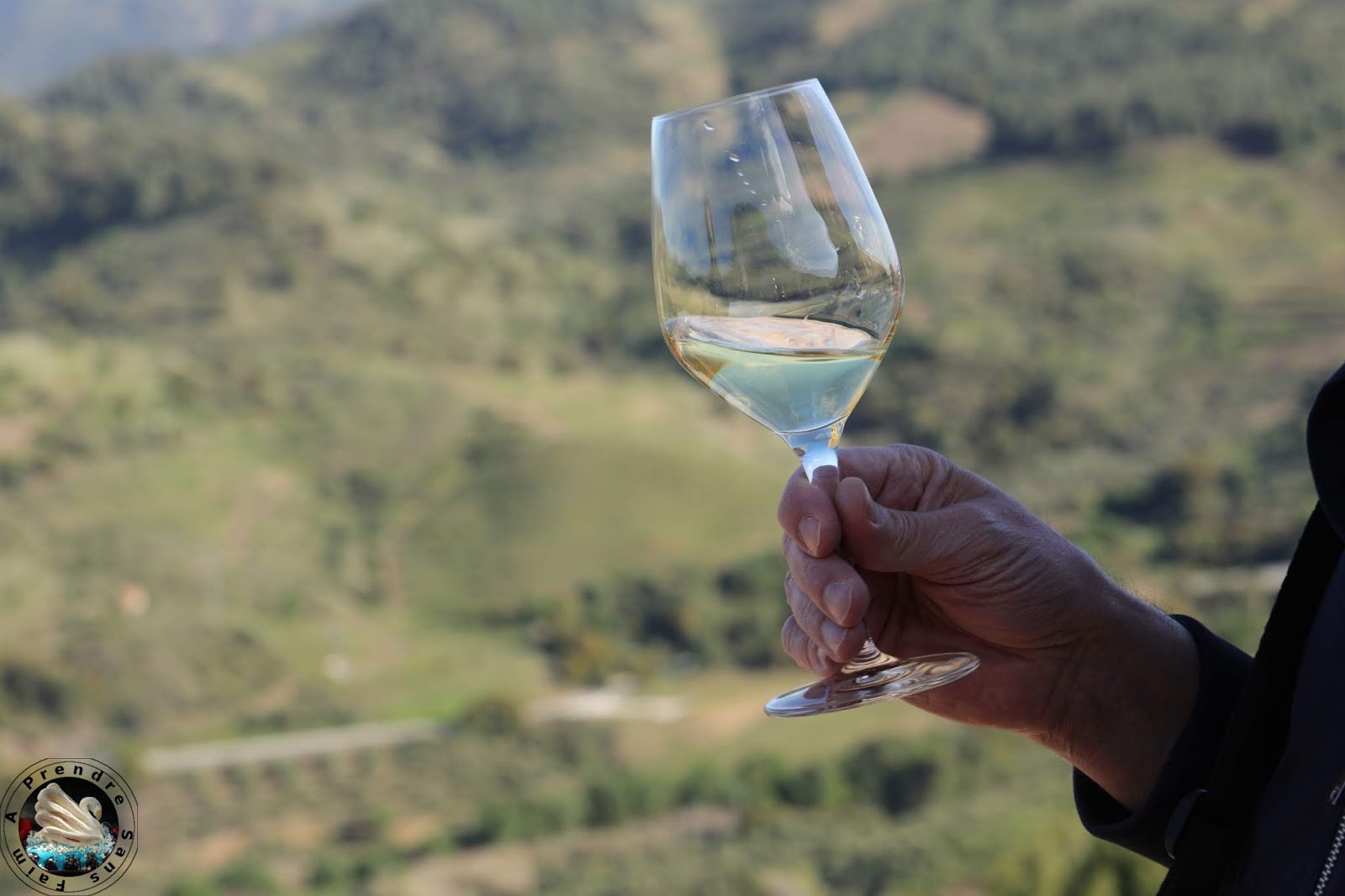 Visite et dégustations de vins à Bodegas Mas Alta - Vilella Alta