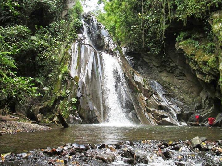 Image result for air terjun tlepak banyuwangi