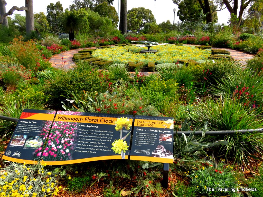 The Travelling Lindfields Wildflowers in Western Australia Kings Park