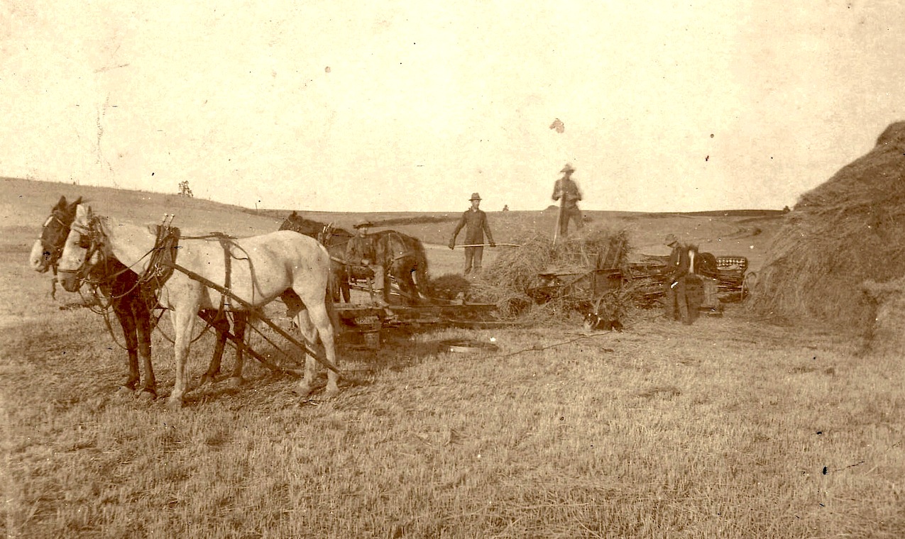 A drifting cowboy Cowboy Legacy Wheat farming in Idaho