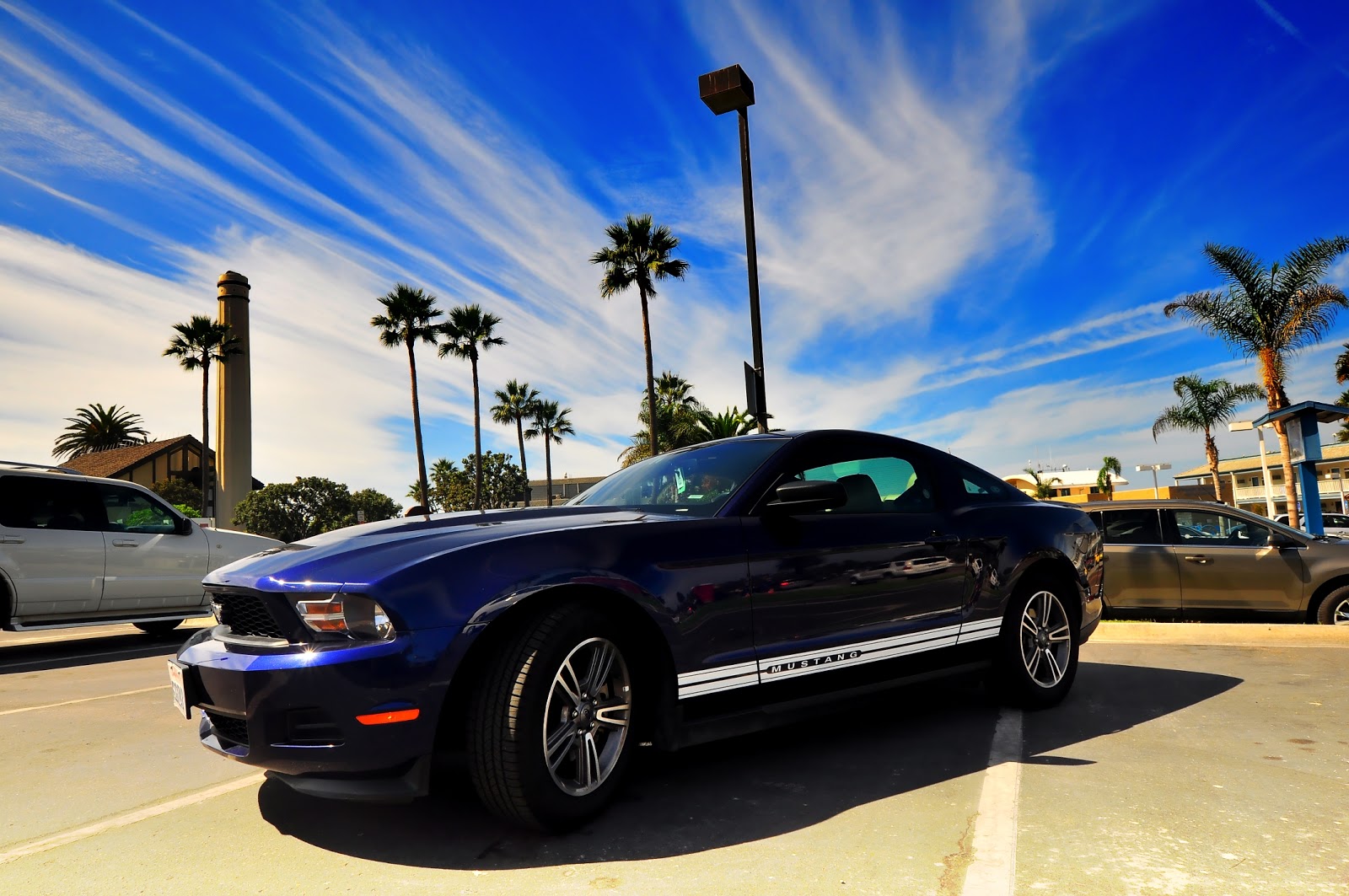 My Nikon and I USA California My very FIRST rented Car!