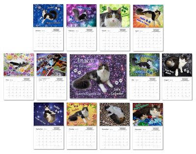 Anakin The Two Legged Cat 2014 Calendars