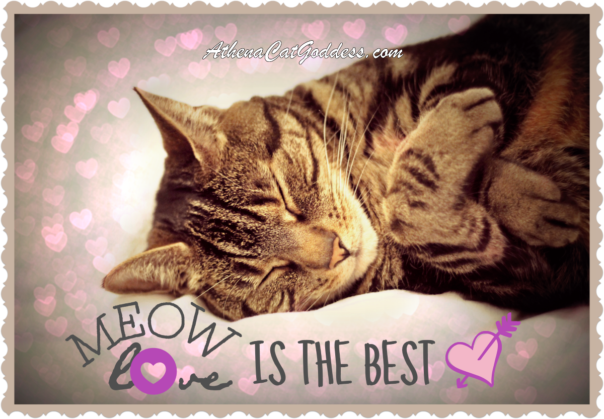 Athena Cat Goddess Wise Kitty: Meow Love is the Best #caturdayart