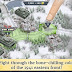 تحميل لعبة الحرب الباردة Frozen Front 1941 APK iOS لعبة إستراتيجية مميزة جداً للاندرويد والايفون والايباد والايبود تاتش