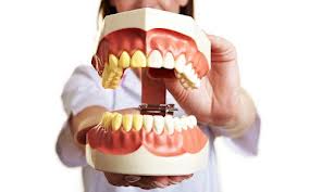 How to Maintain and Take Care To Stay Healthy Gums