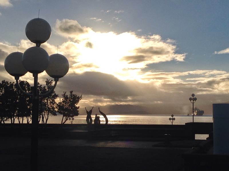 Wellington Daily Photo 2563 Sunrise