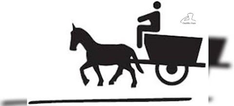 Projeto aprovado: Lei que disciplina os veículos de tração animal (VTA)