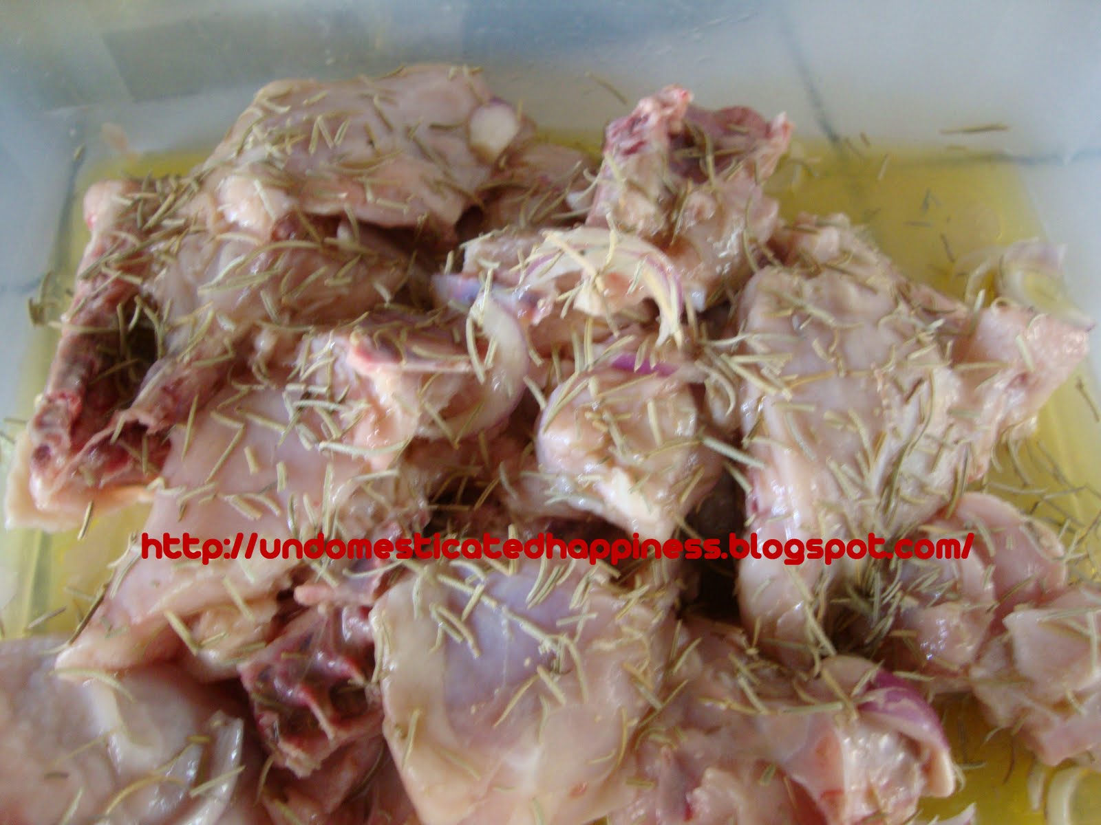 Undomesticated Happiness Nigella Lawson's Chicken with Lemon and Rosemary