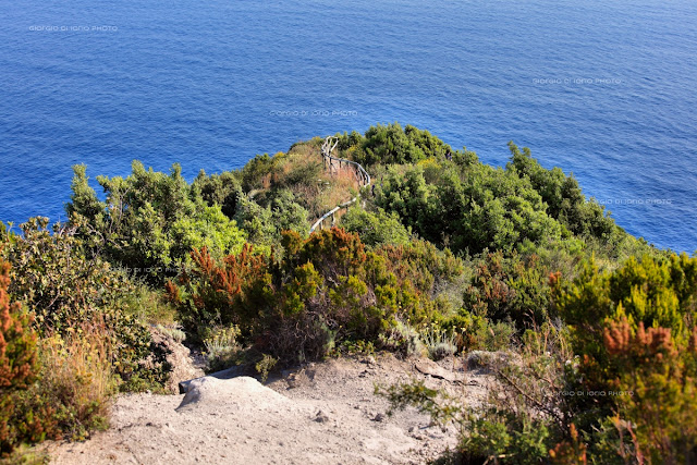 Baia della Pelara, Baie di Ischia, foto Ischia, Paesaggi Ischitani, Sentieri di Ischia, trekking Ischia, Monte di Panza, Capo Negro Ischia,