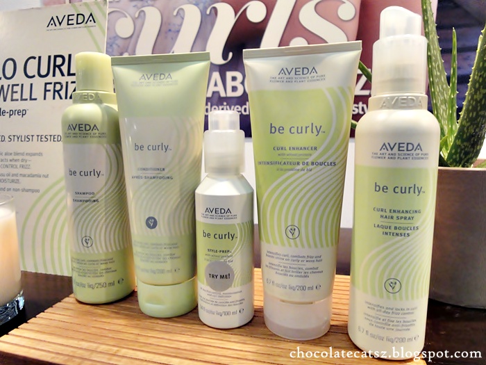 Chocolate Cats Aveda Styling Discovery It's About The Hair!