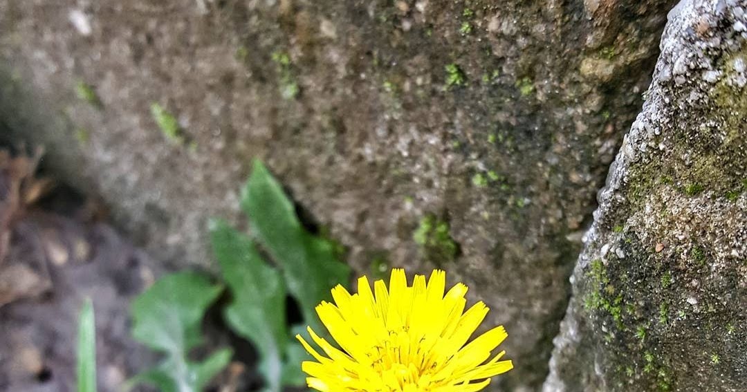 Yüreğimin İklimi İNSAN DEĞİŞTİKÇE DEĞİŞİR DÜNYA