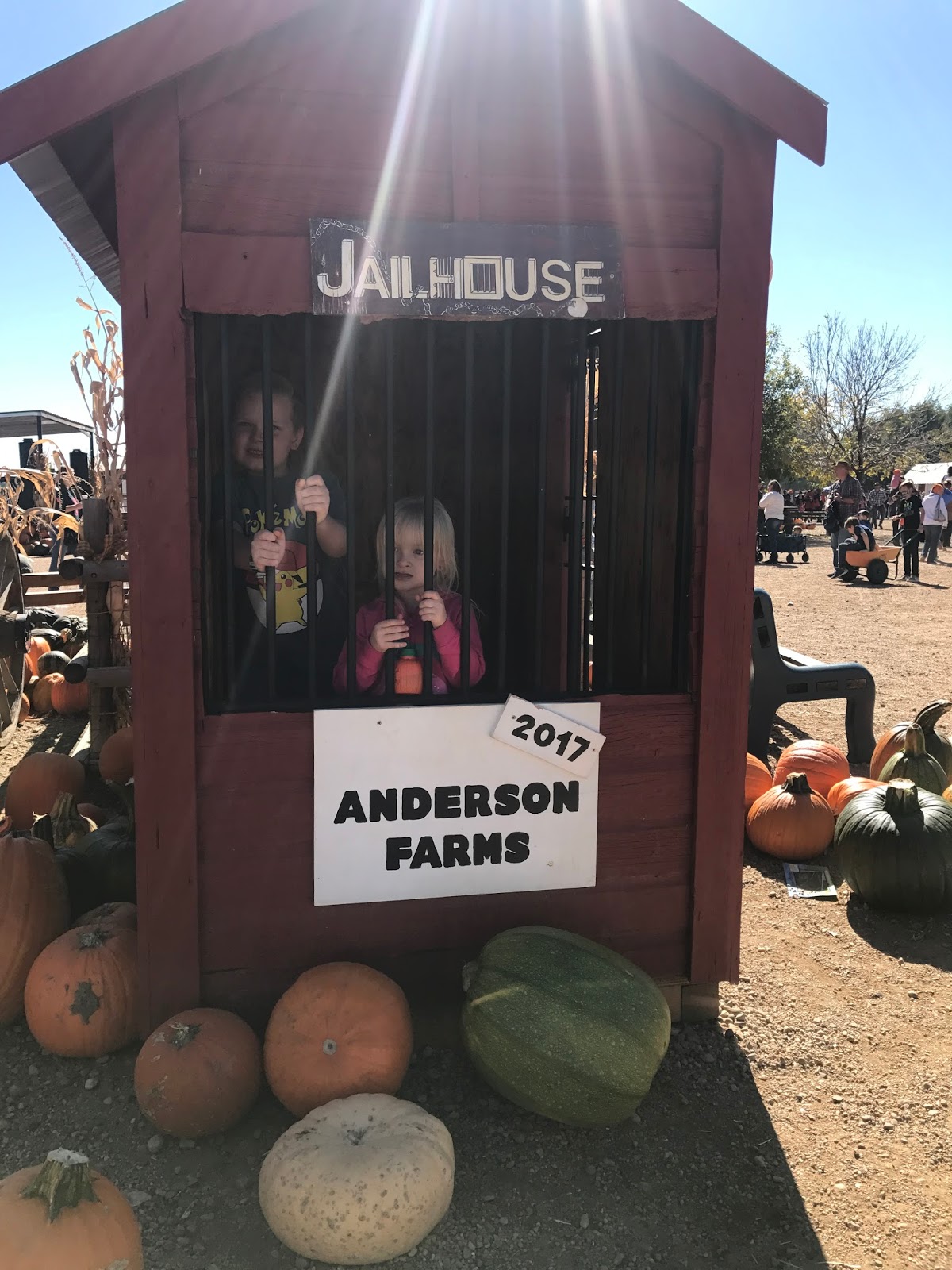 Happy Halloween Anderson Farms Colorado Building Our Story