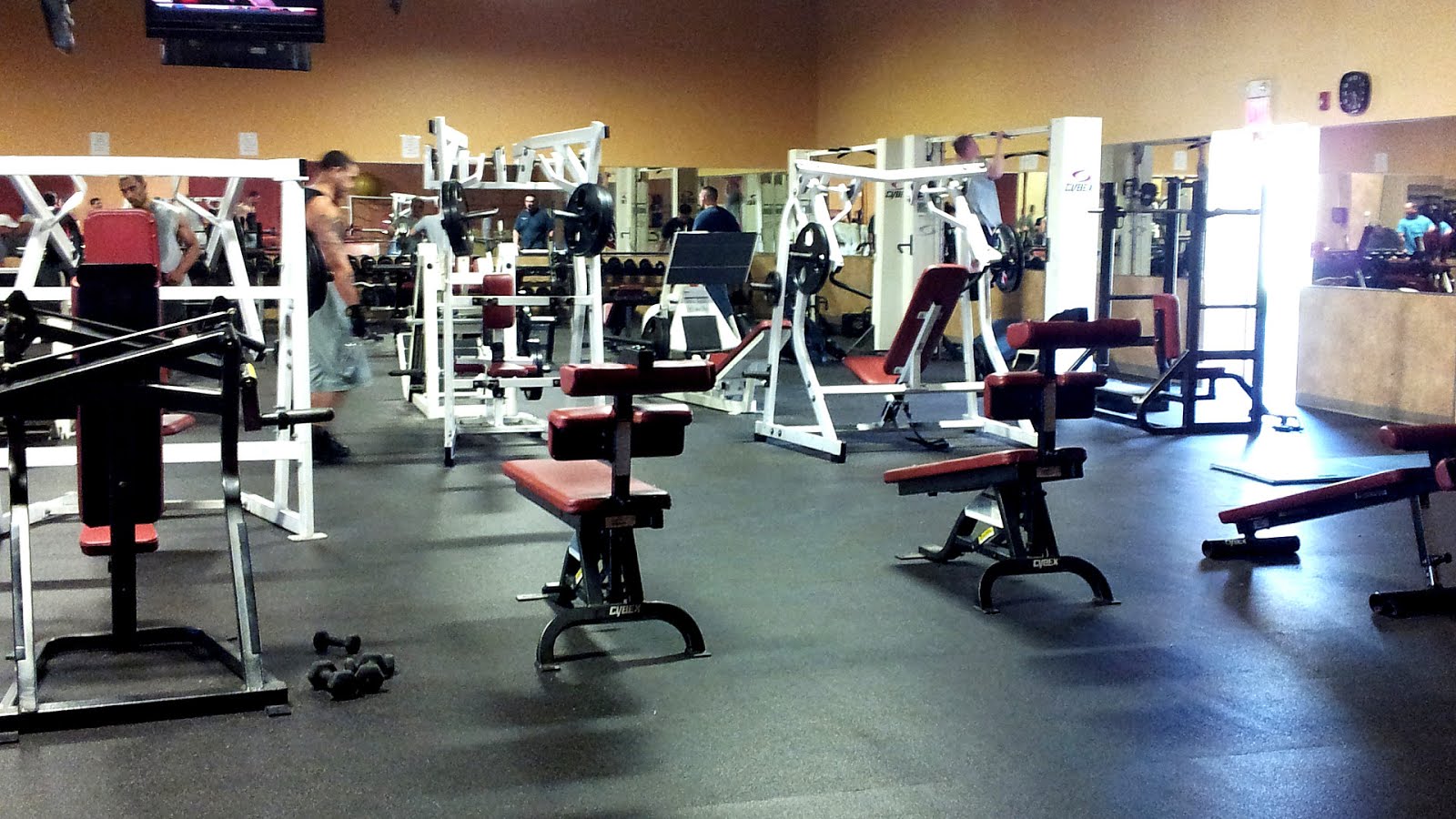 Bally Total Fitness Fit Choices