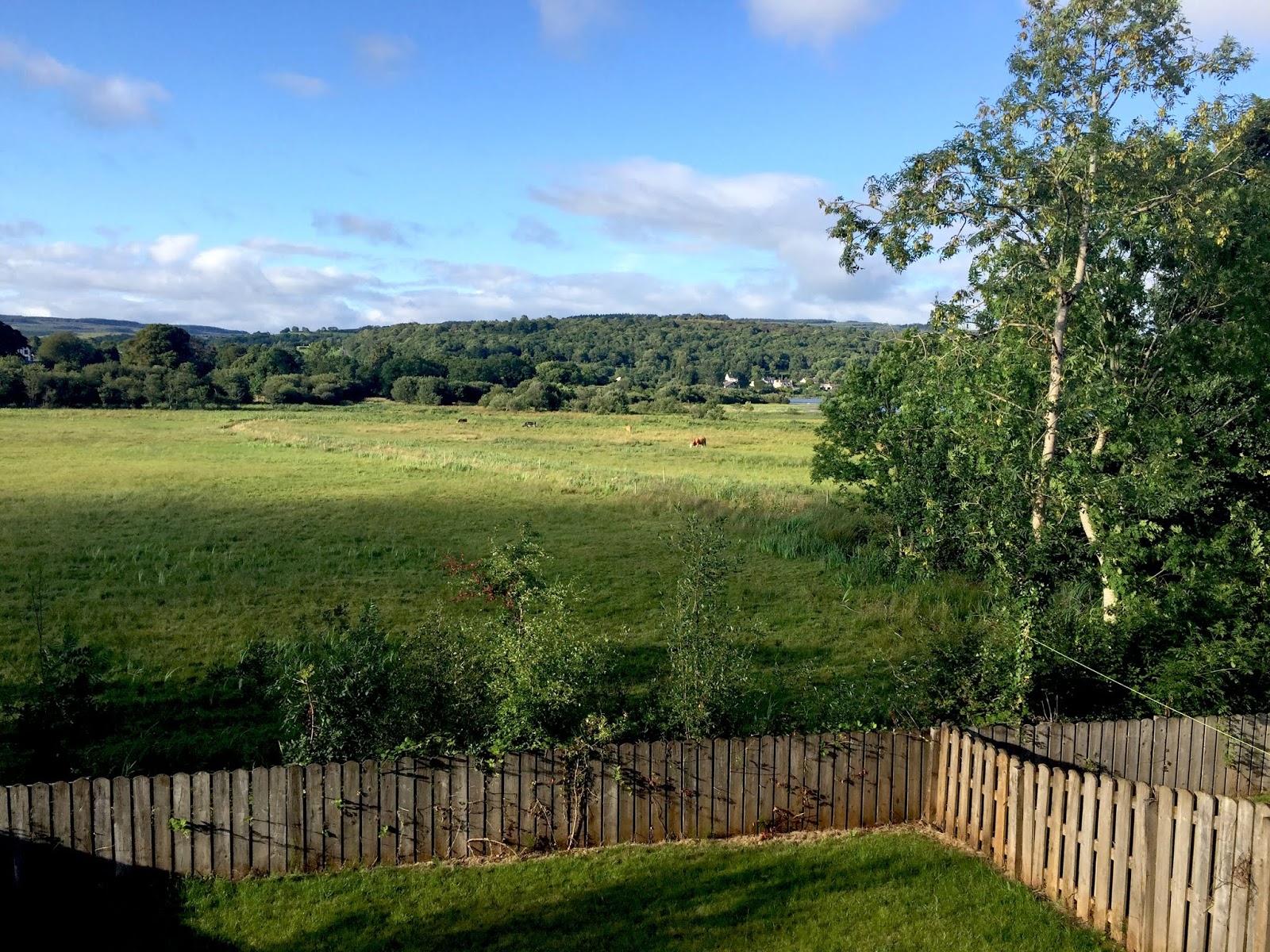 George Eats Sb Poets Take Ireland Day 5