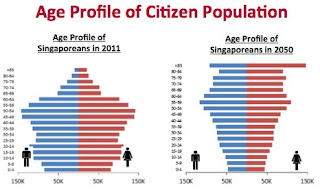 Debunking the DPM Teo’s immigration argument