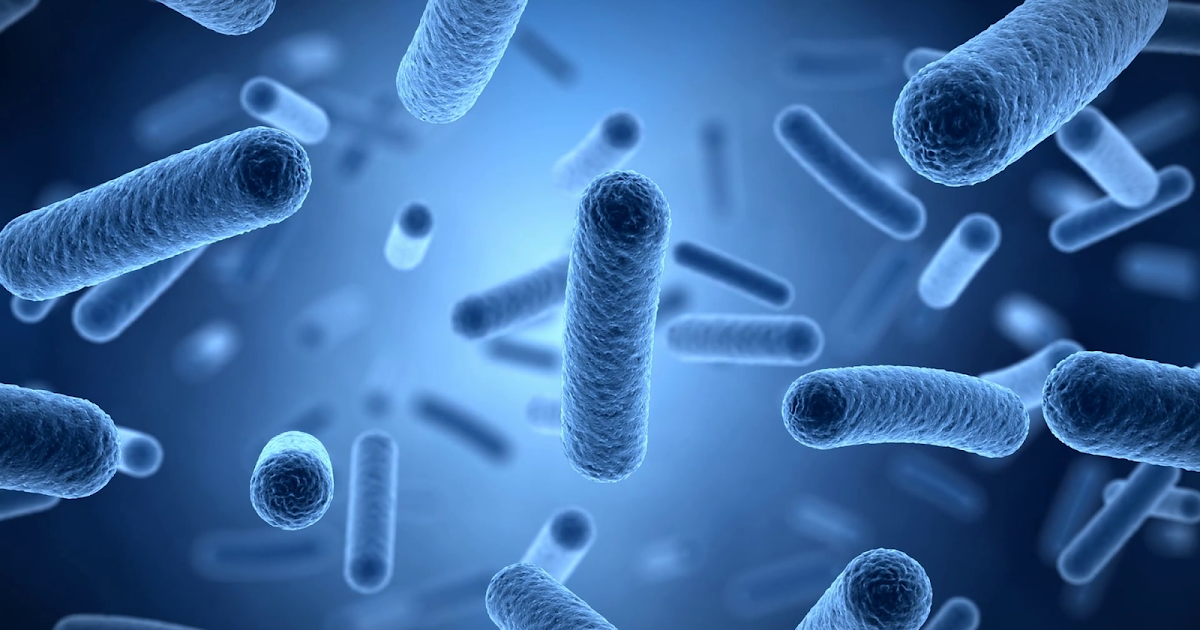 Bacteria Control Tips