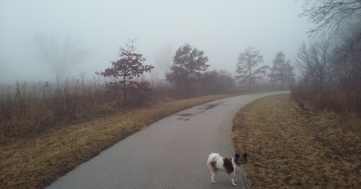 Sycamore Greenway Friends Goldfinches and Pheasants and Brook Trout, Oh My