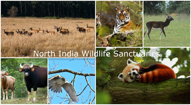 Wildlife Sanctuaries of North India 