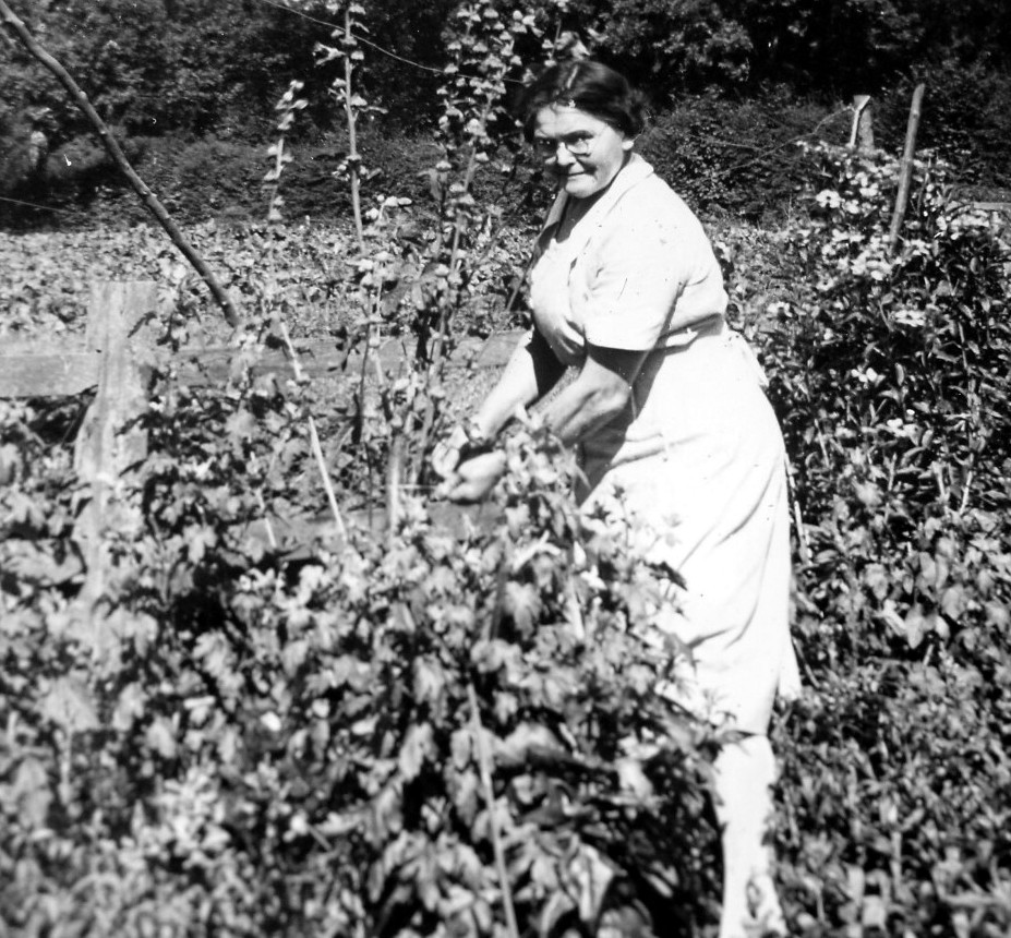 Tour Scotland Old Photograph Berry Picking Blairgowrie Perthshire Scotland