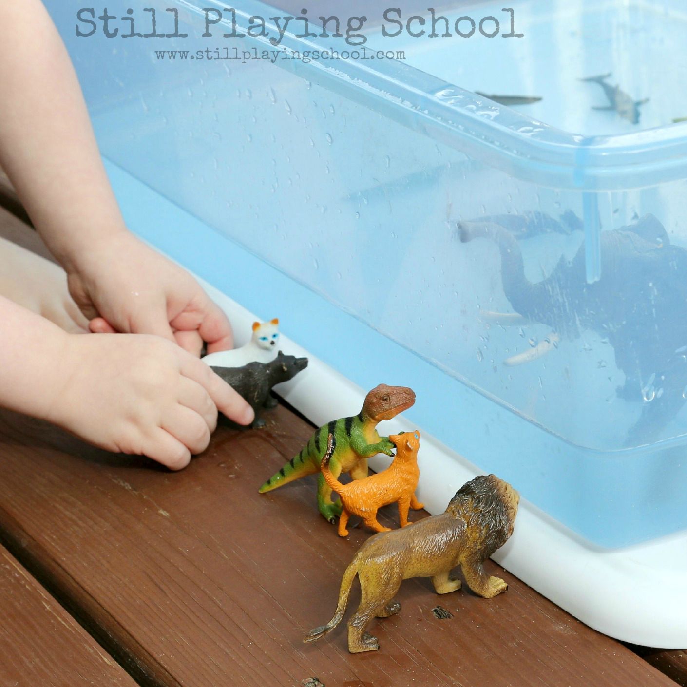 Water Play: Sorting Land and Water Animals | Still Playing School