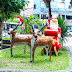 Prefeitura de Serrinha prepara decoração natalina na praça Luiz Nogueira; confira 
