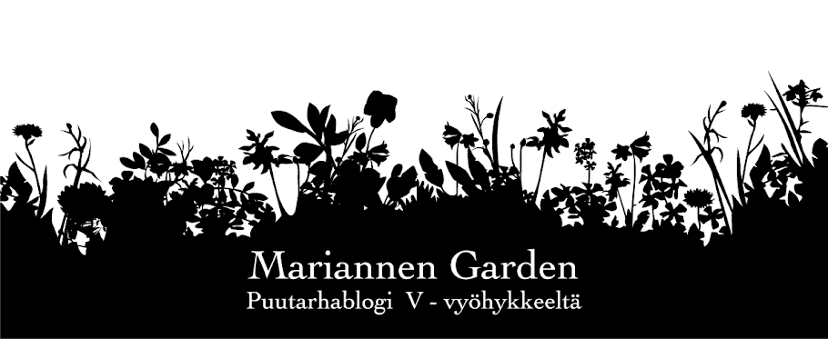 Mariannen Garden